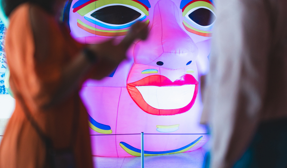 (c) J. Van Belle - WBI (c) J. Van Belle - WBI